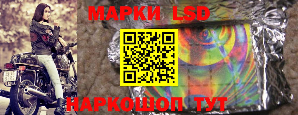 Лсд 25 экстази кислота  LSD-25 экстази кислота  Новокубанск  Вход с VPN 