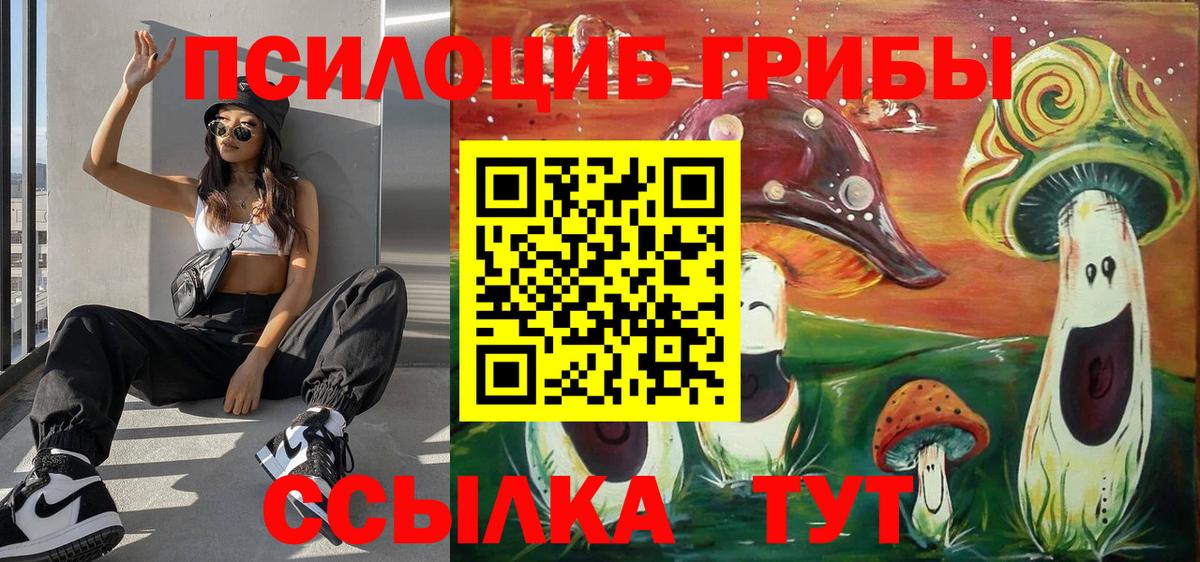 Галлюциногенные грибы Magic Shrooms Новокубанск