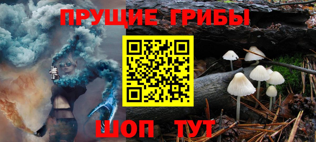 Новокубанск  Галлюциногенные грибы ЛСД  Вход с VPN  Псилоцибиновые грибы Psilocybe 